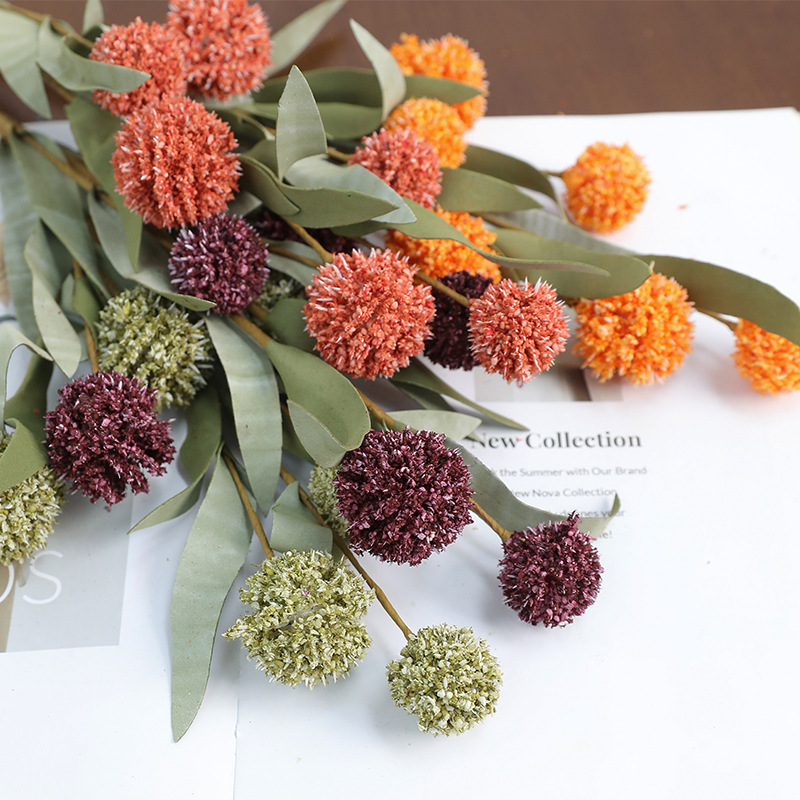 42cm Getrocknete Gänseblümchen – Supply Florist Bewertung und Preis