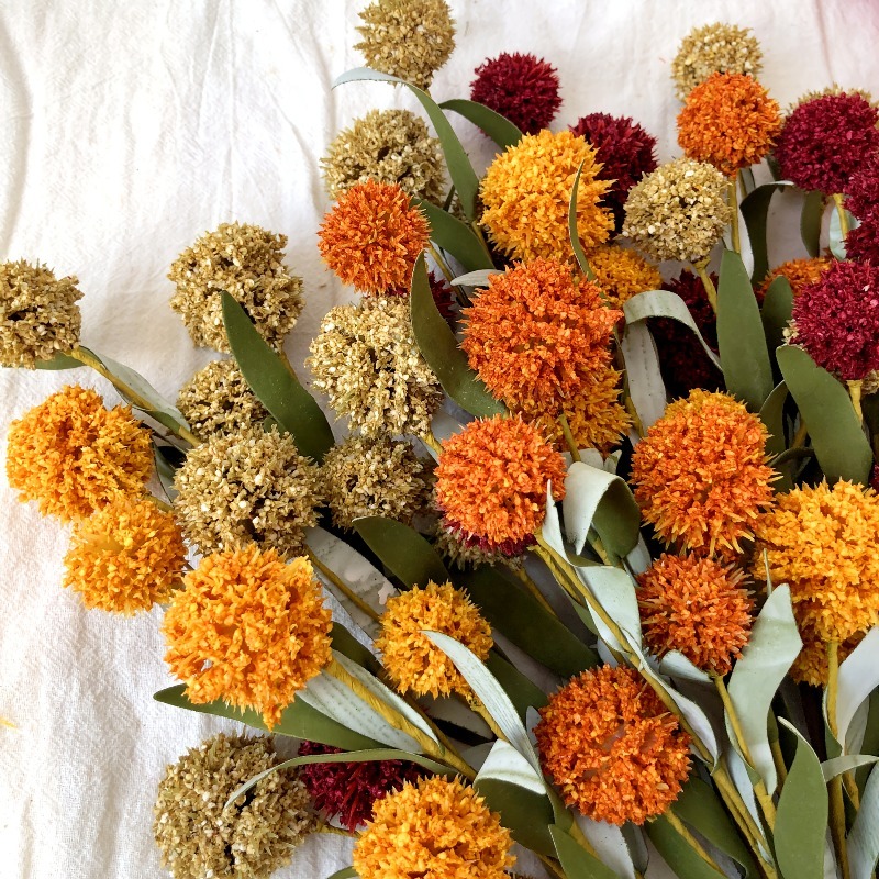 42cm Getrocknete Gänseblümchen – Supply Florist Bewertung und Preis