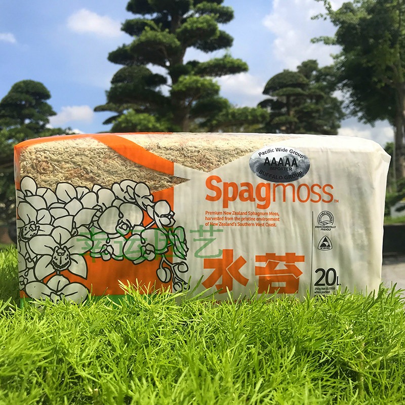 Neuseeländisches 5A-Sphagnummo – Preserved Moss Sheet Bewertung und Preis