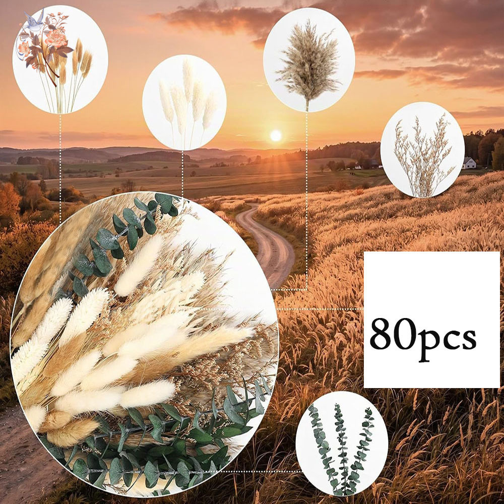 80 Stück natürliche getrocknet – Eucalyptus Preserved Bewertung und Preis